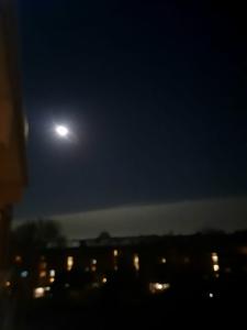 Jacquelien 02 - Volle maan